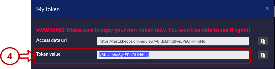 Copy token